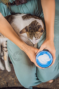 年轻女子坐在沙发上享用地中海早餐 和她的猫一起喝着时髦的饮料 蓝拿铁 热蝴蝶豌豆拿铁或蓝螺旋藻拿铁咖啡果汁女性女士猫咪饮食螺旋蓝图片