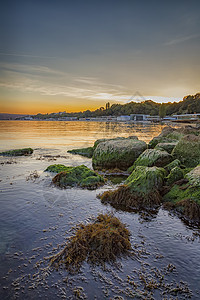 美丽大海日落 岩石上布满多彩的苔藻类天空旅行海景海滩石头假期反射蓝色海岸图片