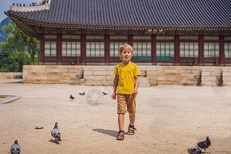 男孩游客在韩国 韩国首尔的景福宫 前往韩国的概念 带着孩子旅行的概念建筑叶子男性男生森林公园旅行者城堡历史反射图片