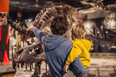 韩国首尔 爸爸和男孩在博物馆看恐龙骨架骨骼灭绝冒险侏罗纪男生大厅学校野生动物气候玩具图片