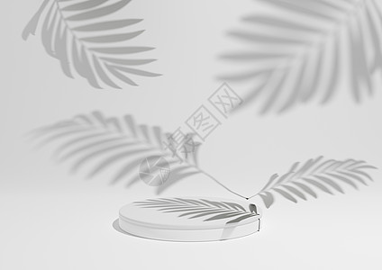 白色 浅灰色 黑色和白色 3D 渲染一个简单的 最小的产品展示组合背景 在自然产品的背景中有 ont 讲台或展台和叶子阴影图片