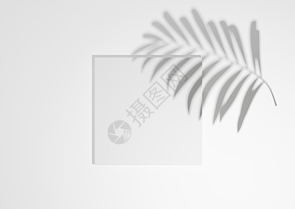 浅灰背景白色 浅灰色 黑白 3D 渲染最小 简单的顶视图平躺产品展示背景 带有一个讲台架和棕榈叶阴影 用于自然产品背景