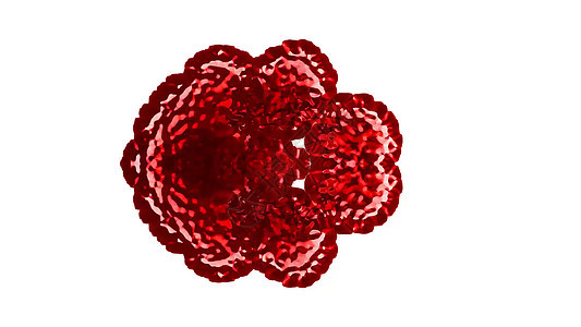 Covid19 3D大流行病生物学危险危害病原疾病药品传染流感微生物科学图片