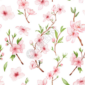 白后草原上的红色无缝图案 日本鲜花 粉红色本底的花朵图片
