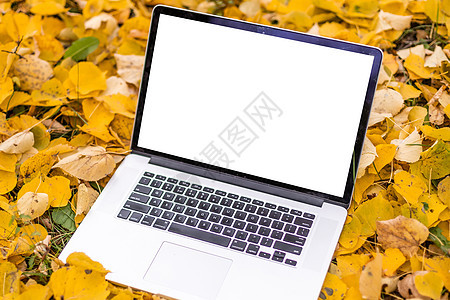露台上的空白屏幕笔记本电脑 拥有美丽的秋色红黄枫叶背景 用于展示展示 营销 广告概念的复制空间产品工作叶子公园互联网网络桌子商业图片