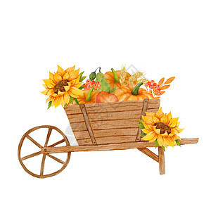 秋色水彩秋季成分 包括向日葵 南瓜和花园轮车 秋季插图以白色背景标本打印图片