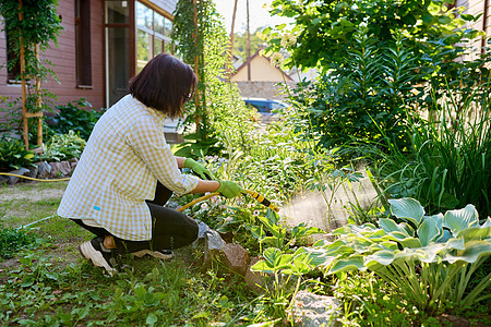 妇女在花园里用水管给花盆浇水衬套爱好女性女士闲暇花坛后院洒水器绿化阳光图片