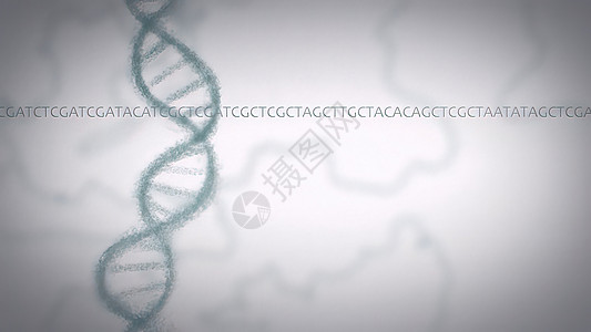 人类内脏器官的现实动画 DNA变异测试细胞技术药品编辑电脑生物基因组全息微生物学图片
