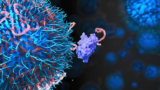 受核素蛋白质攻击的Dna技术血管基因dna3d界面化学插图代码研究图片