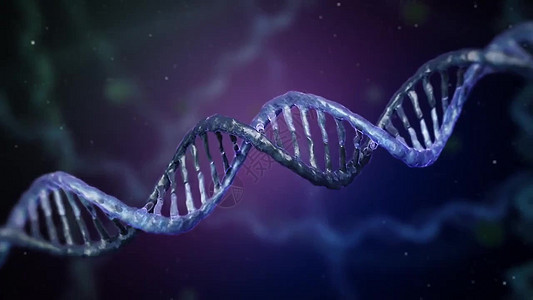化疗药物攻击DNA螺旋测试全息编辑法医工程数据科学染色体展示实验室图片