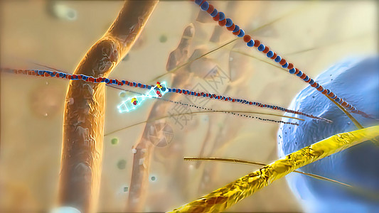 前往DNA细胞核心的旅程蓝色癌症插图诊所技术分析染色体dna药品原子图片
