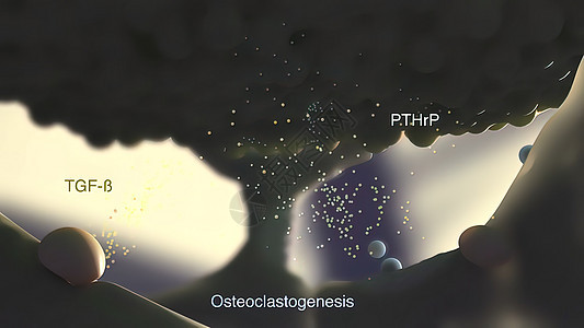 骨质激素是一种细胞 它分解骨骼组织 释放钙供身体使用审查矩阵生长吸收骨细胞数字组织学软骨修理生物学图片