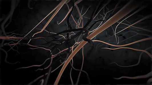 3D医疗3D神经元死亡损失细胞老化身体生活进步治疗疾病思维困惑图片