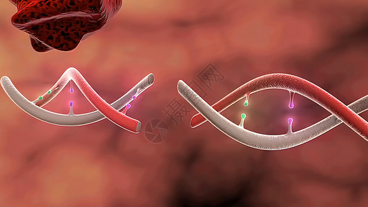 DNA 紊乱 搁浅 科学化学与医学概念插图基因医疗代码遗传技术硬化药品染色体生物图片