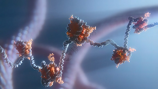 销毁脱DNA细胞图解代码生物科学插图医学疾病生活蓝色基因组化学图片