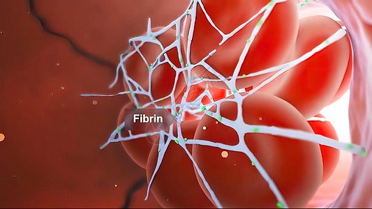 3D 输血船内的三维板块粘合插头血小板人体凝块卫生生物保健血管红细胞生理图片
