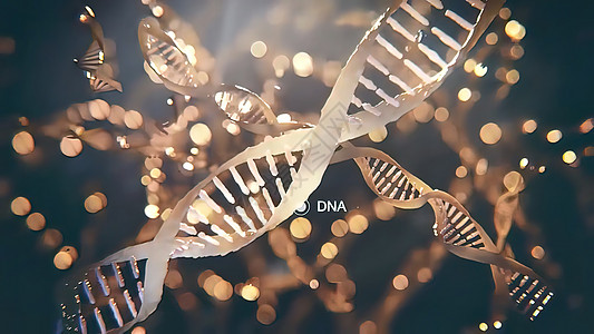 DNA序列视图 3D医疗染色体遗传学科学生物学光线辉光细绳螺旋克隆射线图片