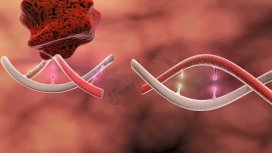 DNA 紊乱 搁浅 科学化学与医学概念生物学技术疾病公式插图医疗遗传硬化克隆遗传学图片