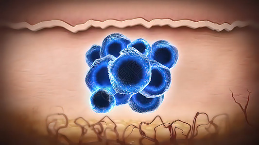 血浆 母乳 脑脊髓液 唾液和尿液中都含有异物血管贫血解剖学疾病血流血清免疫系统细胞癌症基因图片