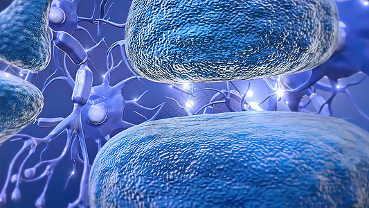 中微子是大脑和神经系统的基本元件头脑生物学化学品生物蓝色功能电气解剖学树突冲动图片