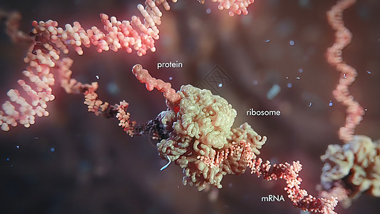 为治疗遗传疾病而开发的方法 Gene疗养院基因物质编辑代谢药品生物学聚合物细菌酵素科学图片