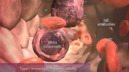 免疫系统中的白血细胞和抗原共轭癌症细胞治疗人体淋巴癌细胞宏观微生物防御图片