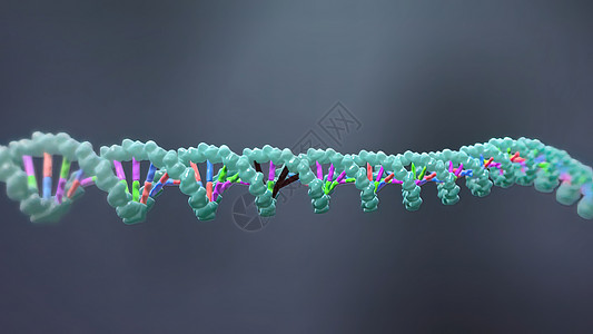 诱导或抑制基因表达的机制卫生特异性药店生物化学翻译配体药理顺序总站图片