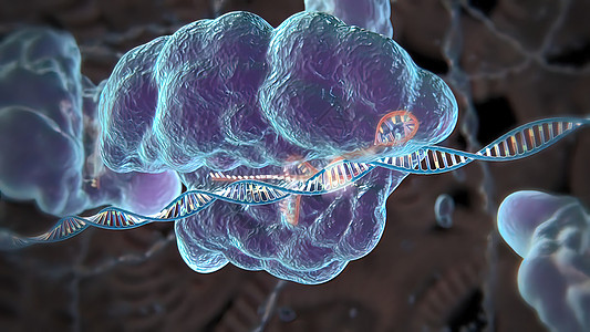 诱导或抑制基因表达的机制药理基因组生物学插图物质翻译顺序酵素制药药店图片