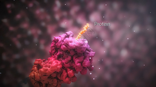 DNA变异 突变是DNA序列的变化 变异身体科学治疗感染基因插图微生物学代码生物学细胞图片