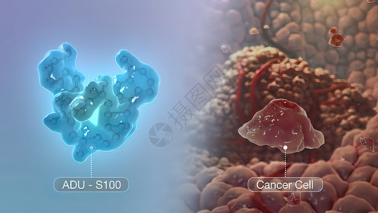 与癌症细胞作斗争生物学感染宏观药品血管毛细管疾病溪流白细胞流动图片