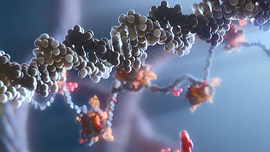 销毁脱DNA细胞图解生物学技术治疗蓝色科学生物化学疾病插图染色体图片