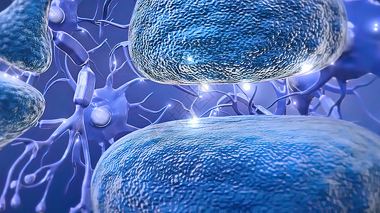 中微子是大脑和神经系统的基本元件蓝色生物插图树突信号智力化学品解剖学电气头脑图片