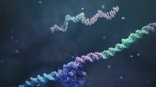 3d 表示单一直线肋膜酸的示例 RNA 研究和治疗酵素插图科学遗传接口实验室核糖体感染高分子传播背景图片