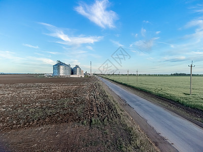 有机农场农村绿色麦田的鸟瞰图 麦田在日落时随风飘扬 年轻和绿色的小穗 大麦作物的耳朵在自然界中 农学 工业和食品生产食物叶子季节天空植物背景