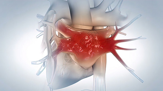 心脏衰竭中左心部的中心作用一部分药品动画光泽度科学心脏病学身体心血管学习主动脉图片