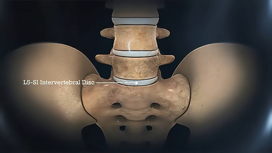 人类黑背景皮肤系统 3D肩胛骨信息男人药品髌骨解剖学肩膀肋骨蓝色肌肉图片