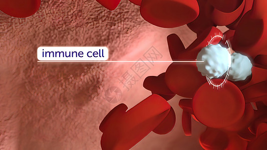 3D Immuno治疗医疗微生物受精卵流感抗原免疫学淋巴感染插图食物陶醉图片