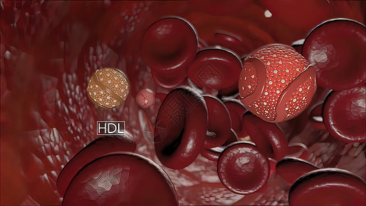 高密度脂蛋白HDL胆固醇生物学细胞化合物饮食公式纽带原子甾醇化学品药品图片