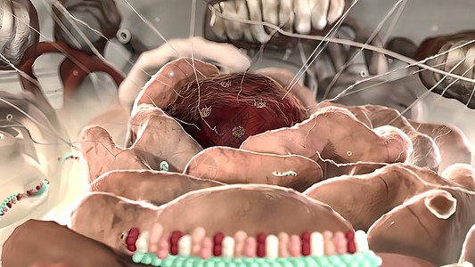 3D 细胞RNA科学插图药品卫生制药技术酵素药理表观原子基因保健图片