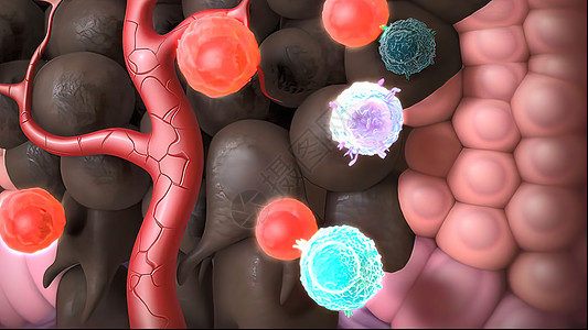免疫系统与癌症主持人病理生物疫苗病菌宏观系统科学抗体感染图片