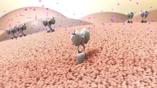 健康和疾病中的红血细胞胰岛素受体胰腺插图图表生物学葡萄糖激素科学方案药品糖原图片