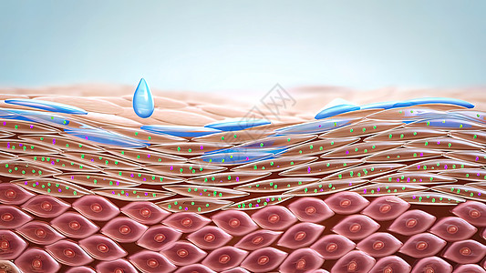 干皮肤的润滑液 皮肤水化的医疗表现身体化妆品胶原治疗紫外线皱纹男人解剖学润肤插图图片
