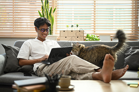 带着猫坐在沙发上 在数字平板电脑上流着互联网图片