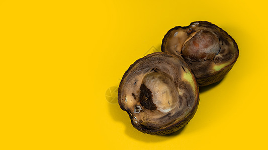 腐烂的鳄梨不能被吃掉营养模具热带食物背景黄色水果垃圾饮食蔬菜图片