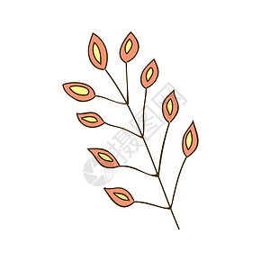 树枝 植物 一个手画的简单的涂鸦图案图片