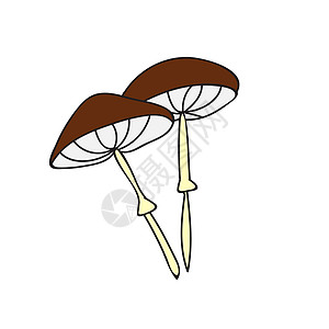 面粉风格的可爱蘑菇 有毒蘑菇 蛤末 矢量打印生态手绘绘画草图彩页魔法毒菌毒蘑菇季节图片