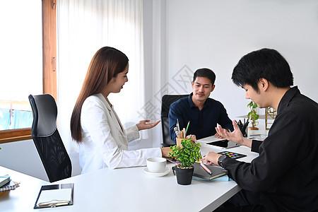 执行女商务人士与她的商业伙伴谈判商业项目图片