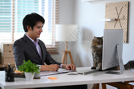 年轻的商务人士带着他的猫 在家中远程操作电脑时 还和他的猫一起工作图片