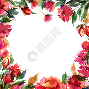 粉红小豆植物水彩花色牡丹手绘正方形墙纸横幅卡片棉布框架印花植物学图片