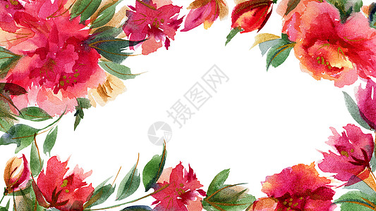 粉红小松鼠植物水彩色背景艺术印花正方形香水邀请函牡丹墙纸植物学手绘问候语图片